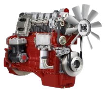 Picture1-removebg-preview